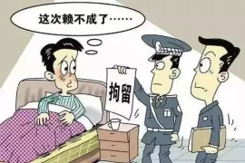 当阳债务清欠服务